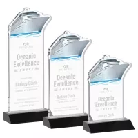 Voyager Award - Black