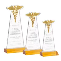 Caduceus Award - Amber