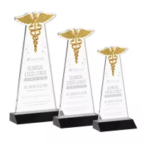 Caduceus Award - Black