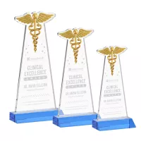 Caduceus Award - Sky Blue