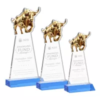 Raging Bull Award - Sky Blue