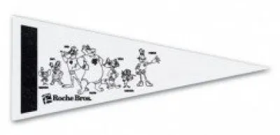 4" x 10" "Color Me" Pennants