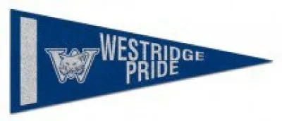 4" x 10" Colored Felt Pennants