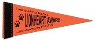 4" x 10" Colored Felt Pennants