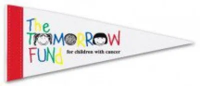 5" x 12" White Felt Pennants