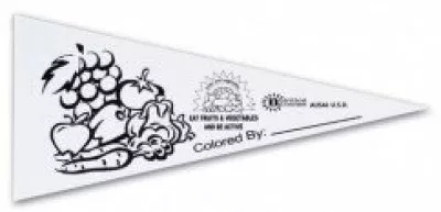 8" x 18" Sewn Strip "Color-Me" Pennant