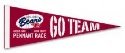 9" x 24" White Felt Pennants