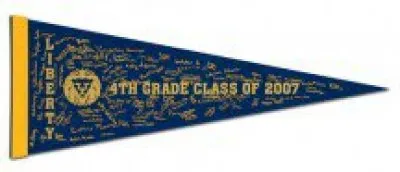 9" x 24" Colored Felt Pennants