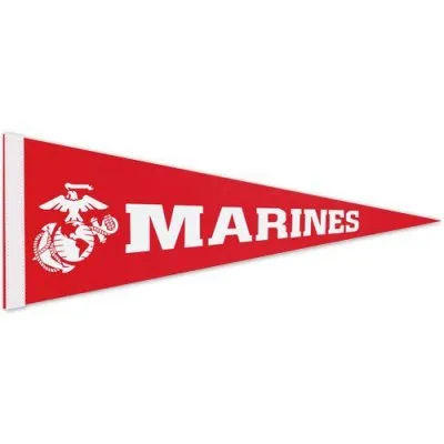 12" x 30" Colored Felt Pennants