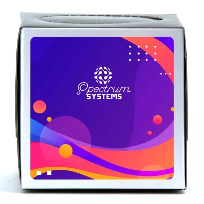 Small Tissue Box