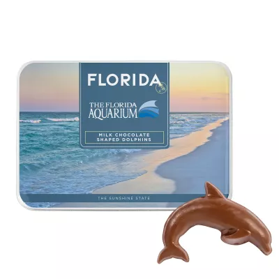 Gift Tin with Dolphin Shaped Chocolates