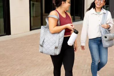 Shamwow® Puff Puff Tote