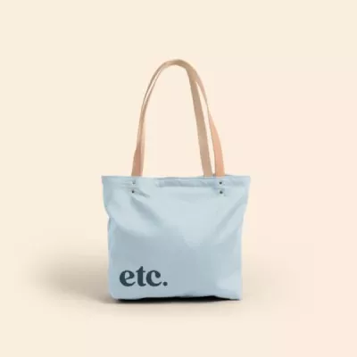Birdie Bag - Colored Canvas With Leather Handles