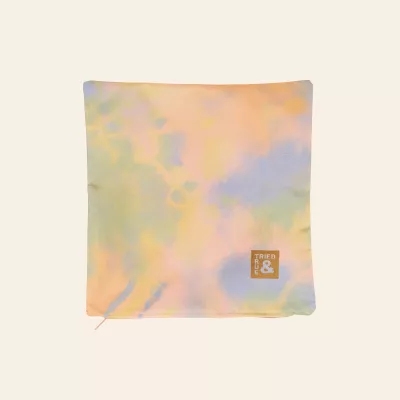 Continued Cuddlebug Small Pillow Case (1000D RPET)- 4CP