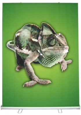 58"W x 79"H Retractable Banner & Stand Set