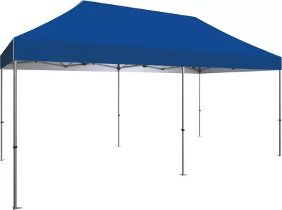 20' Zoom Outdoor Tent with Stock Canopy