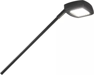 LED Flood Display Light