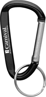 Small Carabiner Key Ring