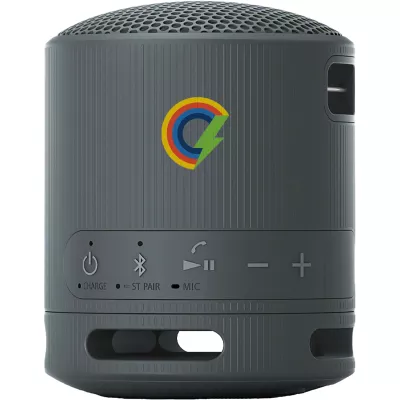 Sony SRS-XB100 Bluetooth Speaker