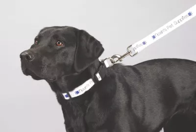 Full Color 1'' Wide Premium Pet Leash