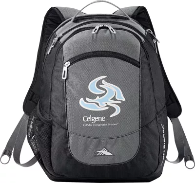 High Sierra Fly-By 17'' Computer Backpack