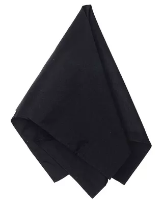 Big Accessories Solid Bandana
