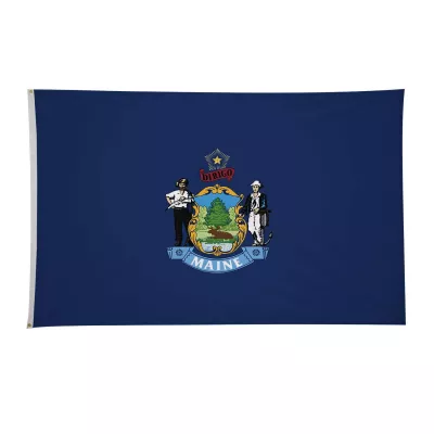 4' x 6'State Flag