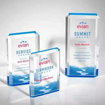 Paragon VividPrint™ Award