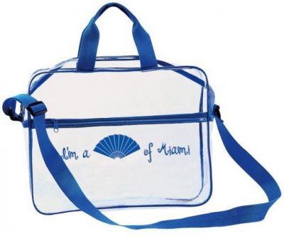 The Clear Portfolio Bag