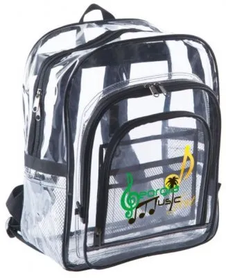 The Large Clear Backpack