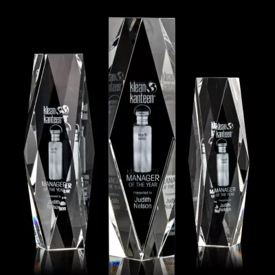 President 3D Award