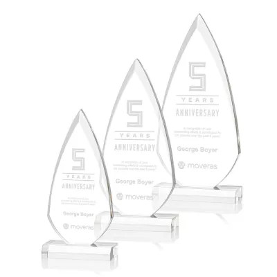 Vanderbilt Award