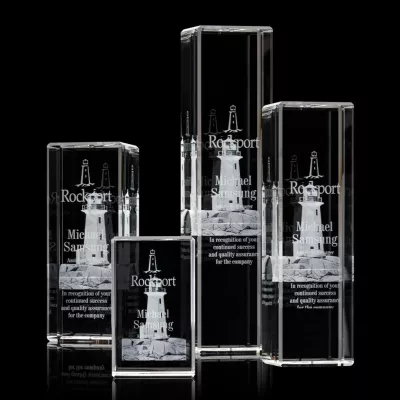 Robson 3D Award