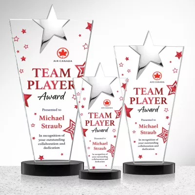 Mantella Chrome Star VividPrint™ Award - Black