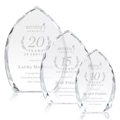 Wilton Award - Clear