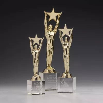 Star Achievement Award on Optical