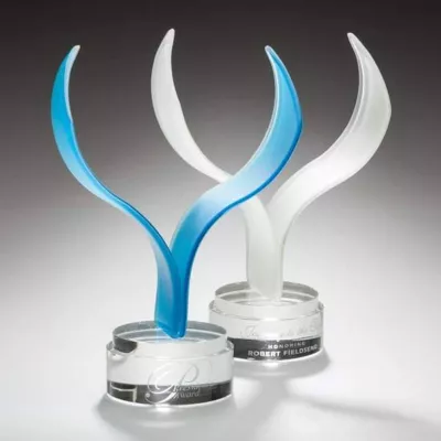 Aerial Award