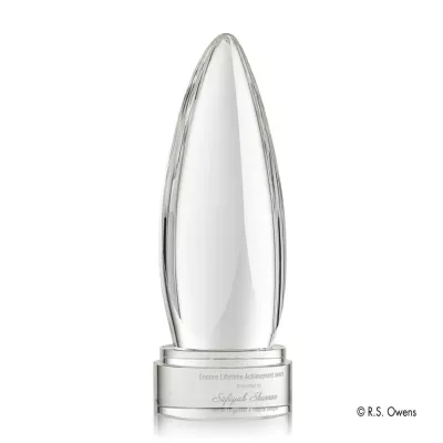 Icarus Award
