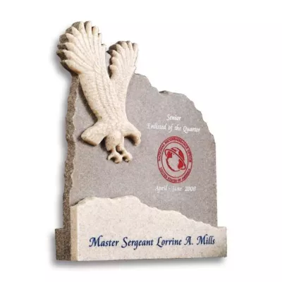 Soaring Eagle Award