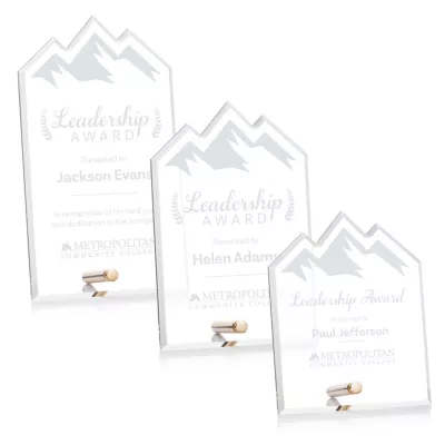 Polaris Summit Award - Gold