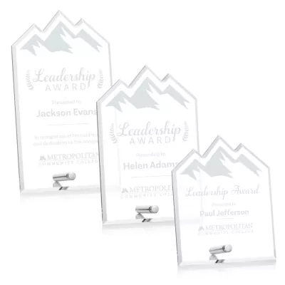 Polaris Summit Award - Silver
