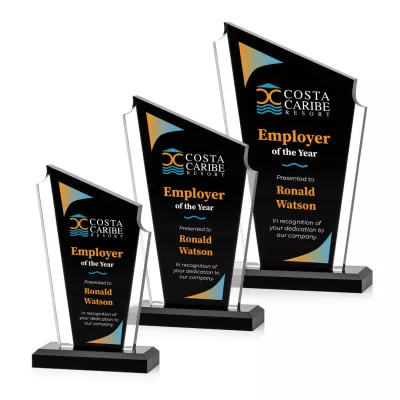 Dunstable VividPrint™ Award - Black