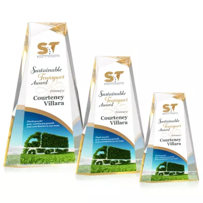 Tyneside VividPrint™ Award - Gold