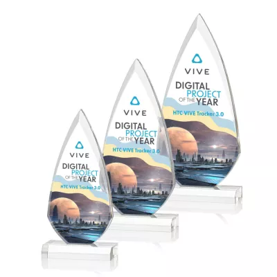 Vanderbilt VividPrint™ Award
