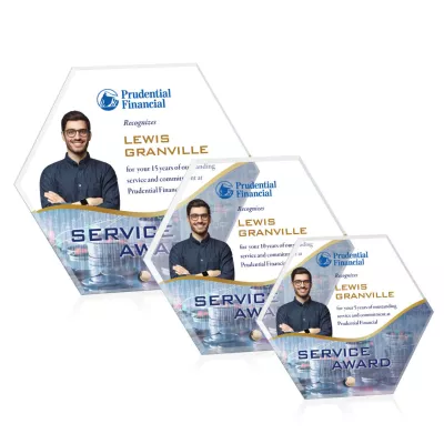 Polaris Hexagon VividPrint™ Award - Gold