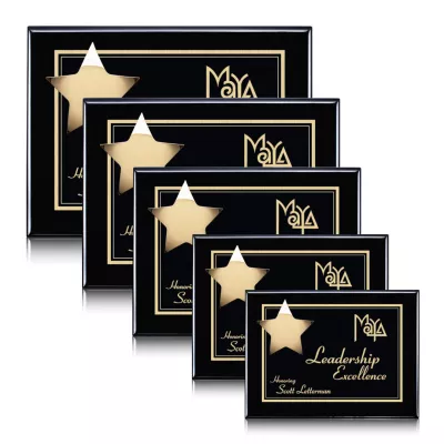 Hollister Plaque - Black/Gold
