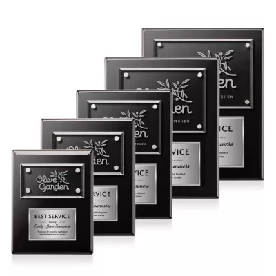 Gossamer Plaque - Black/Silver