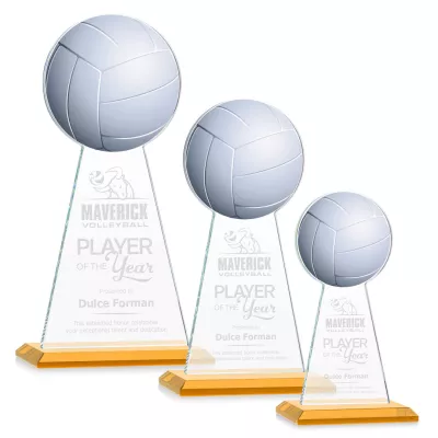 Edenwood Volleyball Award - Amber