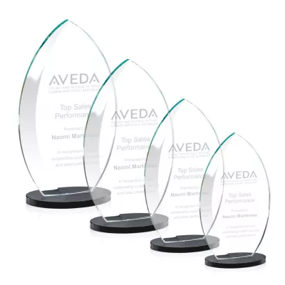 Windermere Award - Black