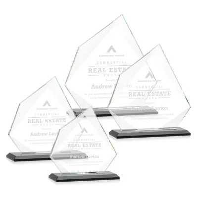 Lexus Award - Black